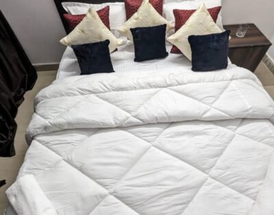1 BHK Studio Apartment in Crossings Republik